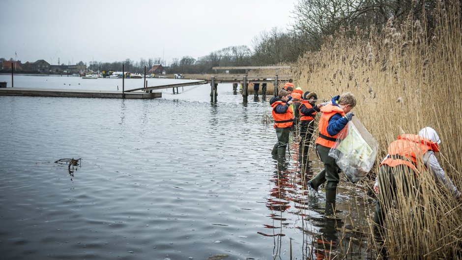 Saml andres skrald i naturen. 